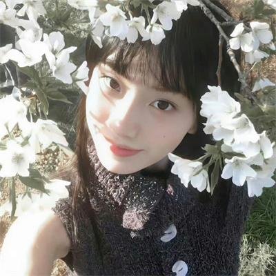 梦幻书院第六季
